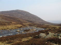 local to Aberdeen